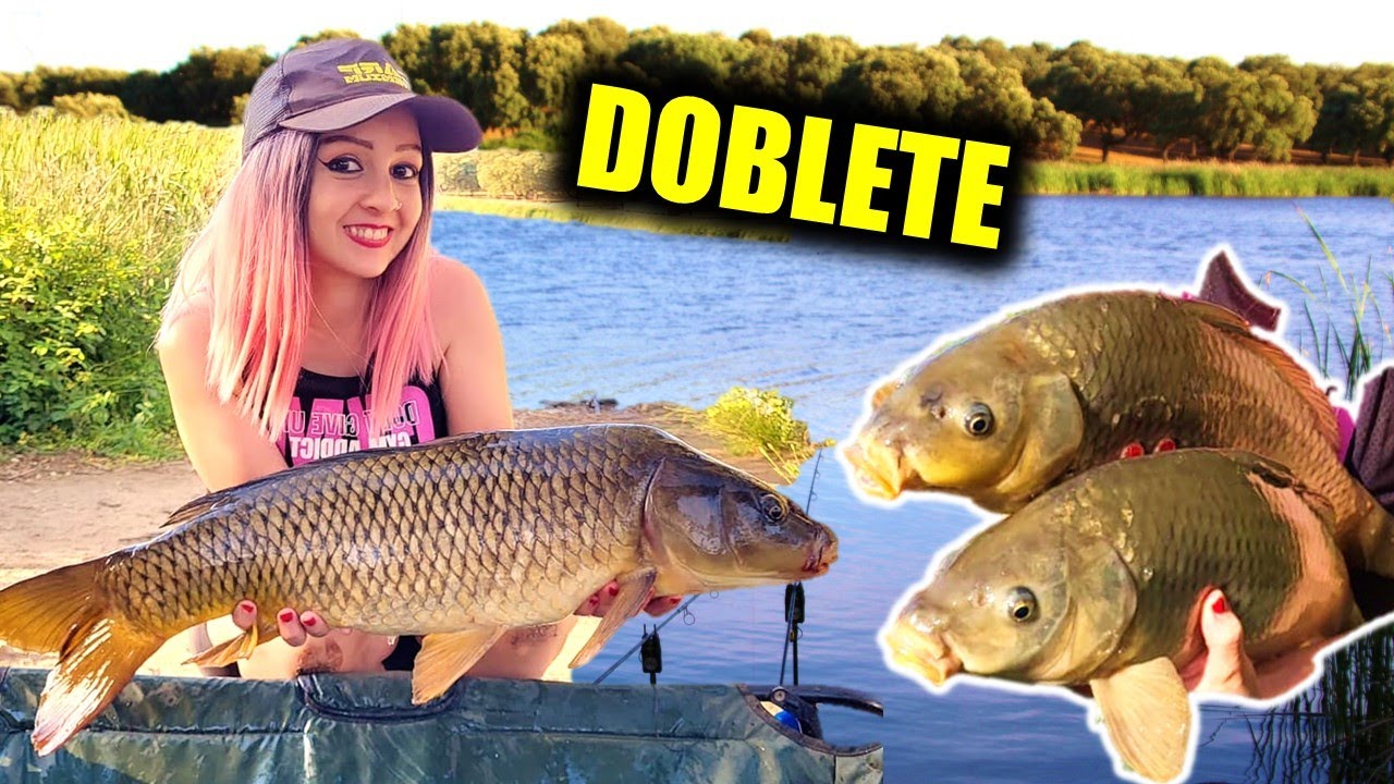 💯Tenemos MUCHAS PICADAS en este pantano  🍀 (PESCA de CARPAS a fondo) CARPFISHING ESPAÑA 2023