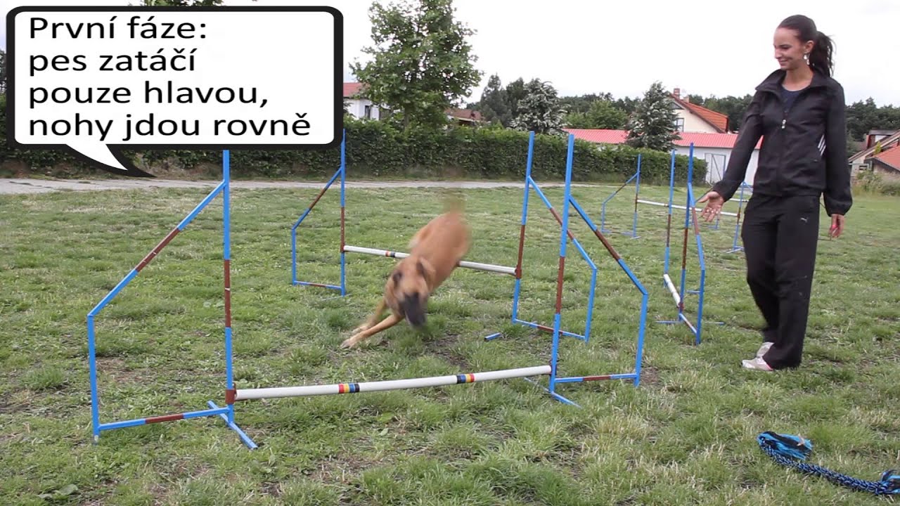 Agility Online - Točící řada