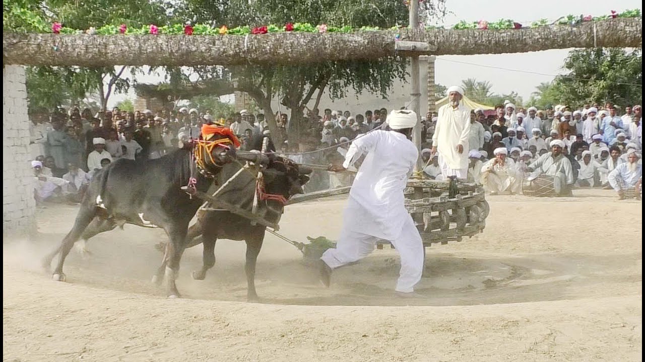 Besakhi Mela Riaz Basra ! Vaisakhi List kOT SULTAN Distract Layyah