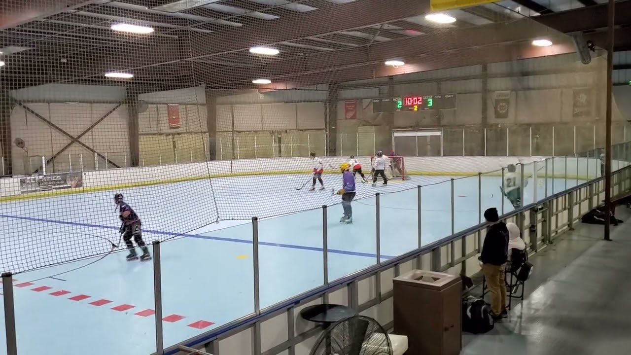 Damage Inc vs. Bulldogs 