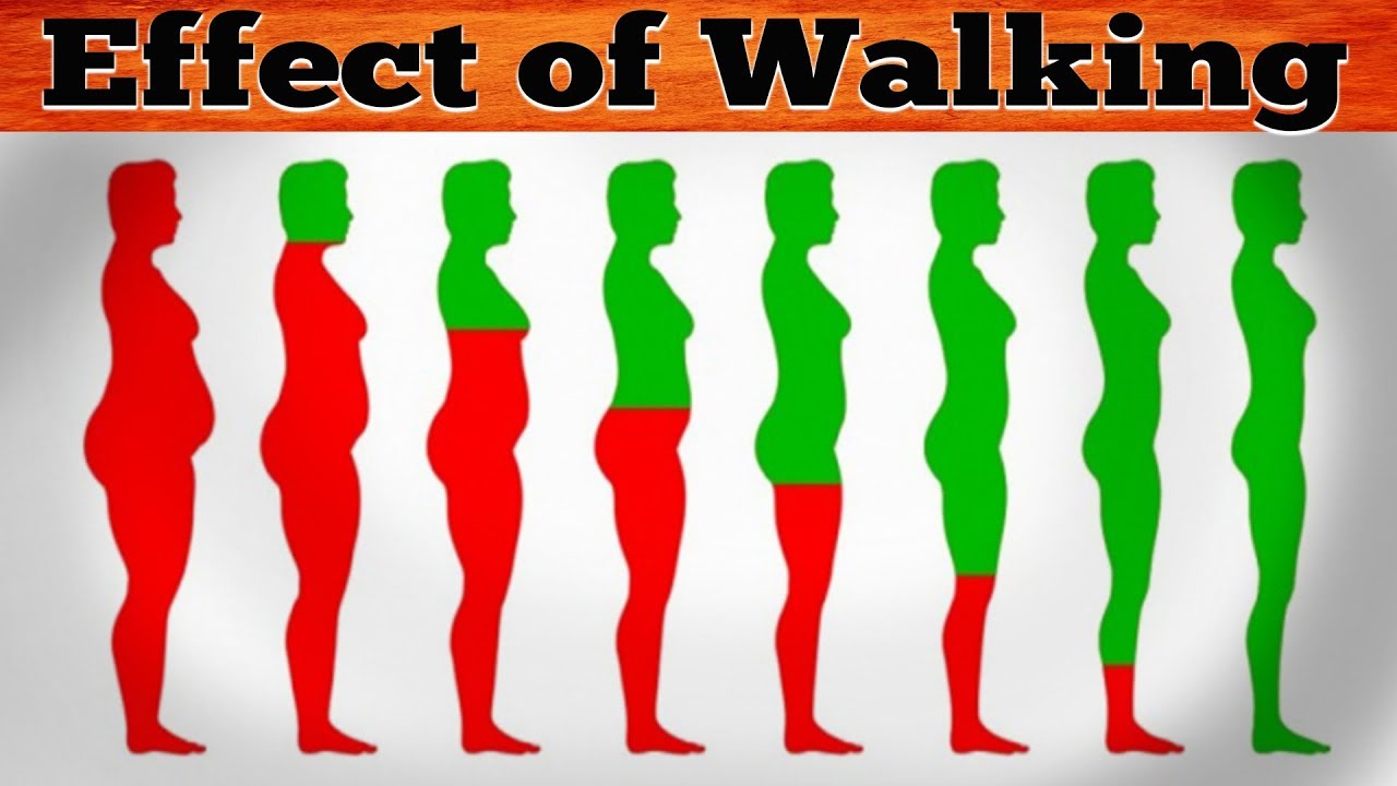रोज 30 Minutes तक चलो और देखो जादू | What happen If you walk Everyday |Health Tips | Medical Science