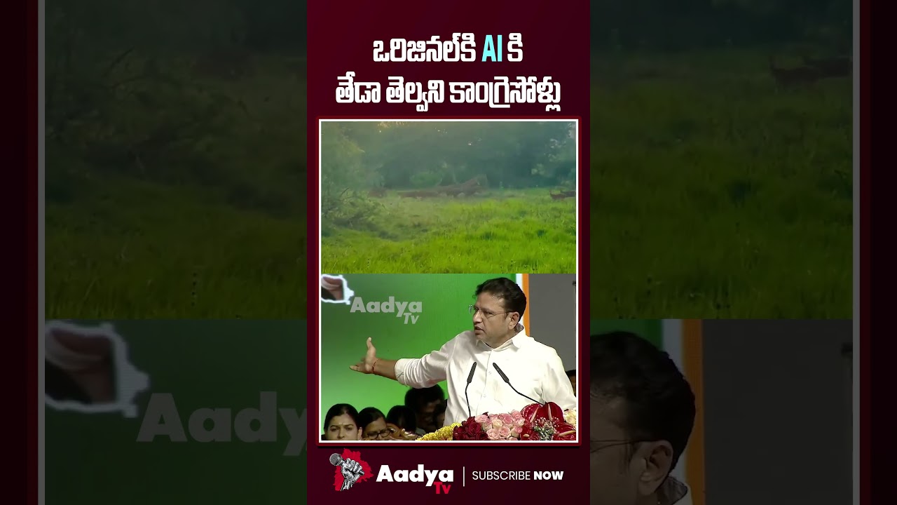 IT Minister Sridhar Babu Comments on HCU Lands | Animals AI Video | Congress Demolitions | Aadya Tv