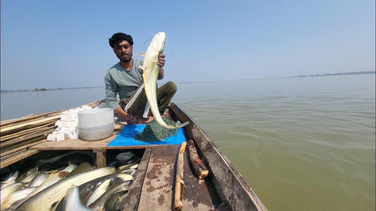 आज तो लाछी मछलियों की बारिश हो गई! 🐟🔥 | Sona Fishing Zone Specia