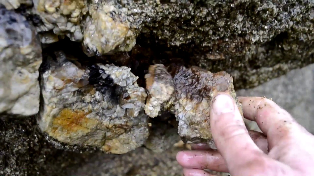 ⛏️ [CHASSE AUX MINÉRAUX] - veine de quartz fumé, tourmaline, orthose