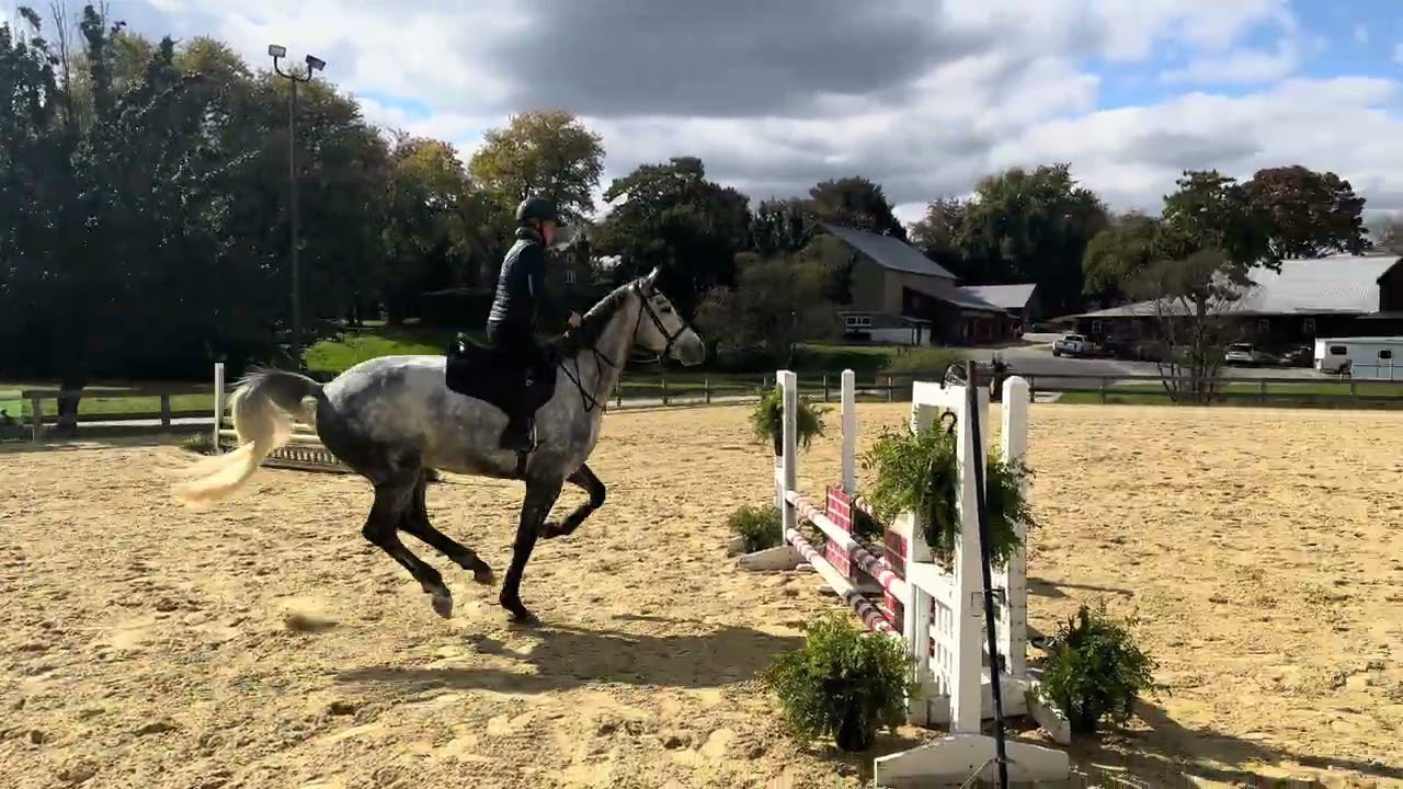 Monbeg Landed Jump Schooling 10.2025