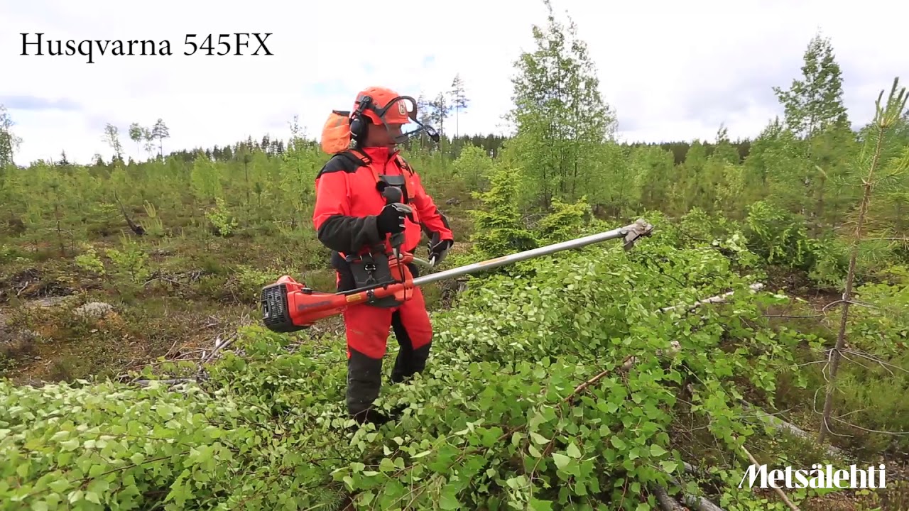 Testissä metsänomistajille ja ammattilaisille sopivat raivaussahat | Metsälehti
