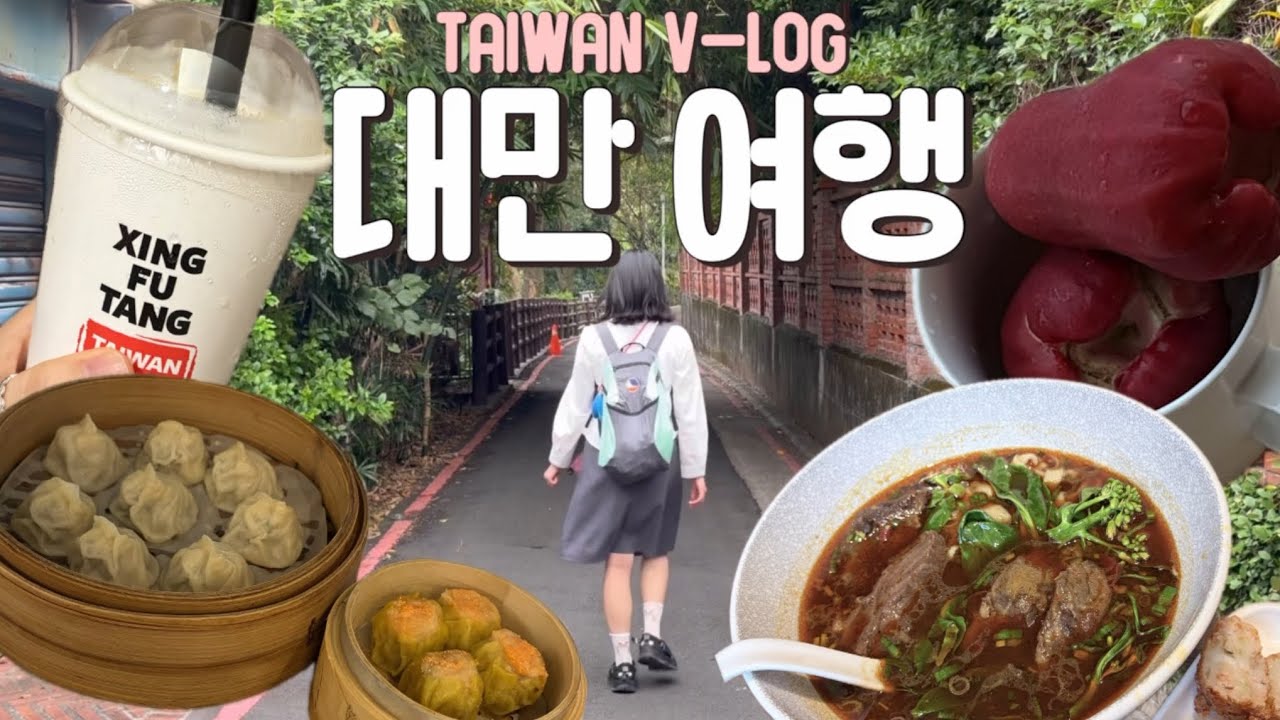 대만 3박 4일 여행 브이로그🇹🇼(타이베이 현지인 우육면, 만두 맛집🥟🍜, 지우펀 셀프여행, 단수이 갈비덮밥 맛집, 말할 수 없는 비밀 촬영지, 가성비 갑 대만여행✈️)