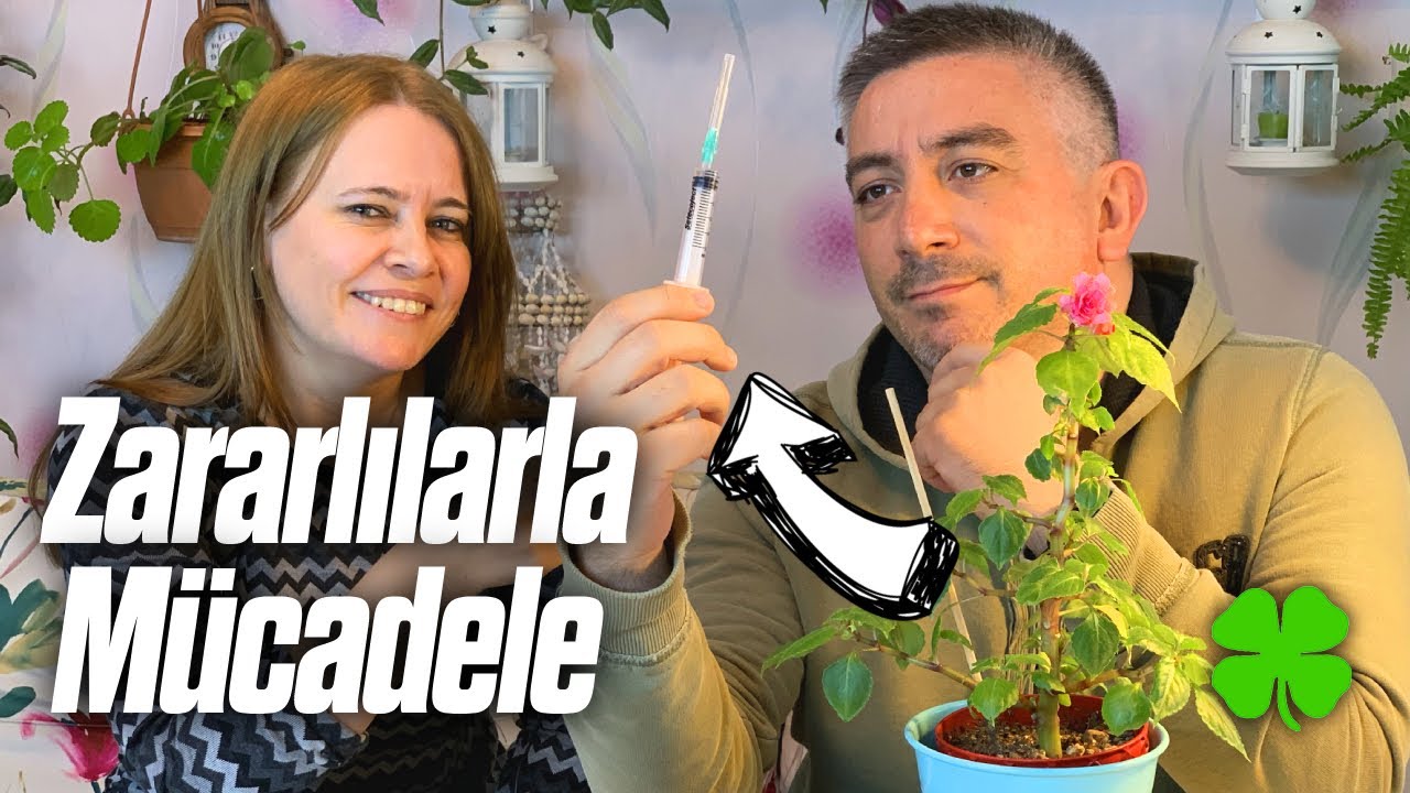 Hastalıklı Cam Güzelimizi Tedavi Ediyoruz | Zararlılar ile Nasıl Mücadele Ederiz? 🧙‍♀️