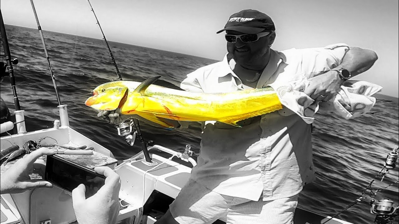 How to catch dolphin fish, Dorado, mahi mahi off a fad