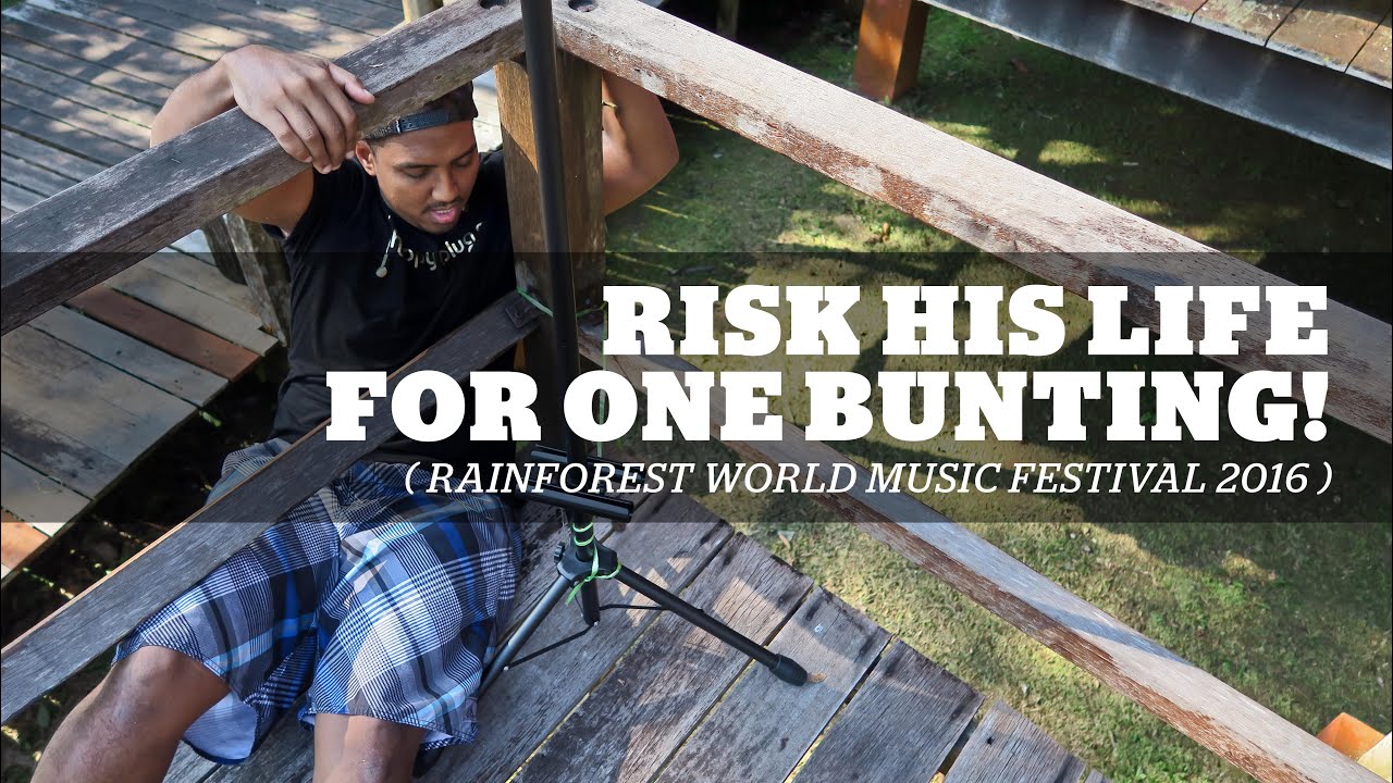 ( 3 DAYS EARLY! ) RAINFOREST WORLD MUSIC FESTIVAL 2016