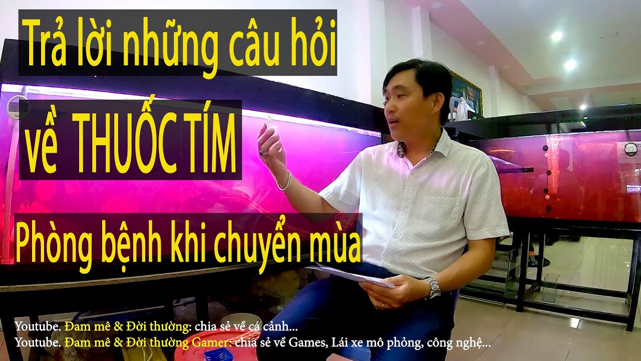Trả lời những câu hỏi về thuốc tím - phòng bệnh khi thời tiết chuyển mùa| vệ sinh hồ|cách dùng tím