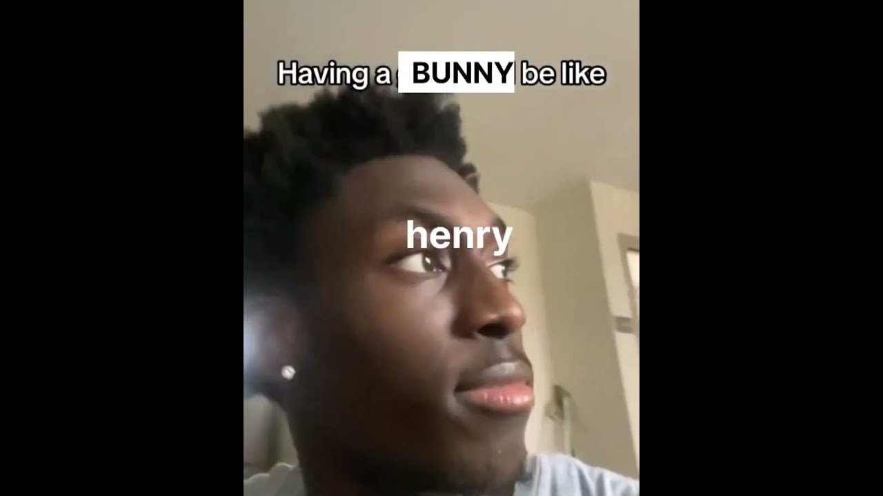 the secret history as memes i found on instagram