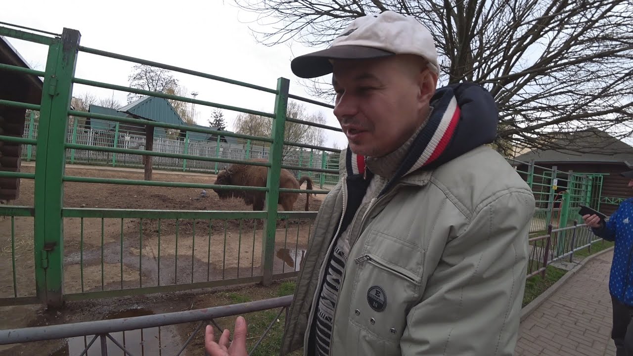 Лудоман-Ёшкин напугал ЗУБРА до УСРАЧКИ!!! Зоопарк в Гродно как источник прогнозов на спорт!!!