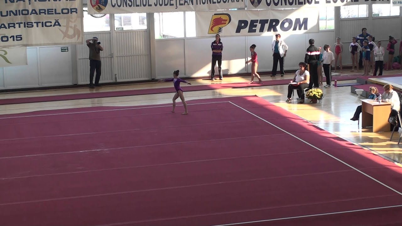 Cristina Vesa - CSM Arad - FX EF - CN Individual Junioare 2015 N2