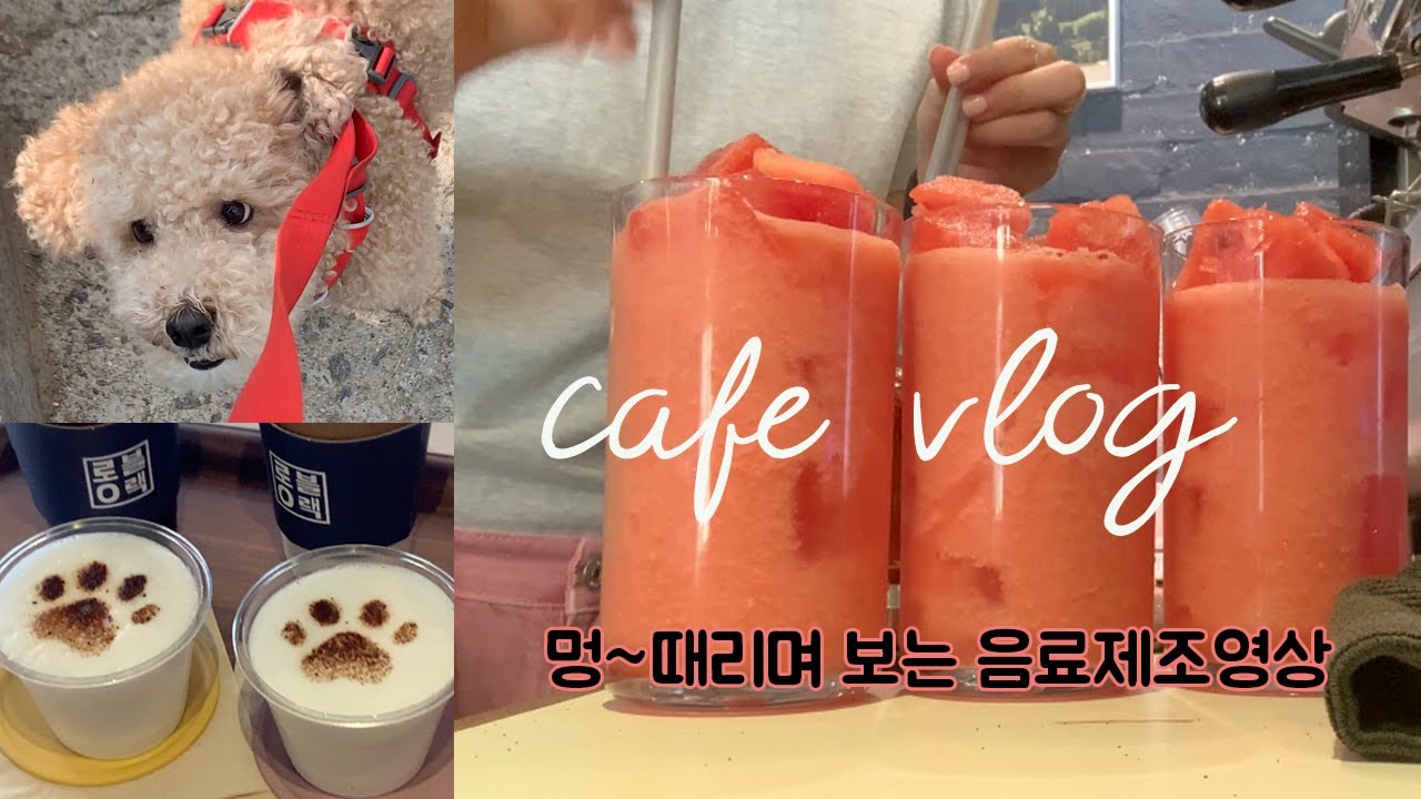 cafe vlog / 카페 음료제조영상 asmr / 단골 강아지들 대환장하는 멍푸치노 효자메뉴가 될줄이야/카페사장 여름 신메뉴 테스팅