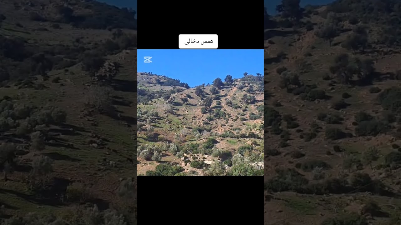 قصيدة بعنوان همس دخالي.لمسوݣر سعيد
