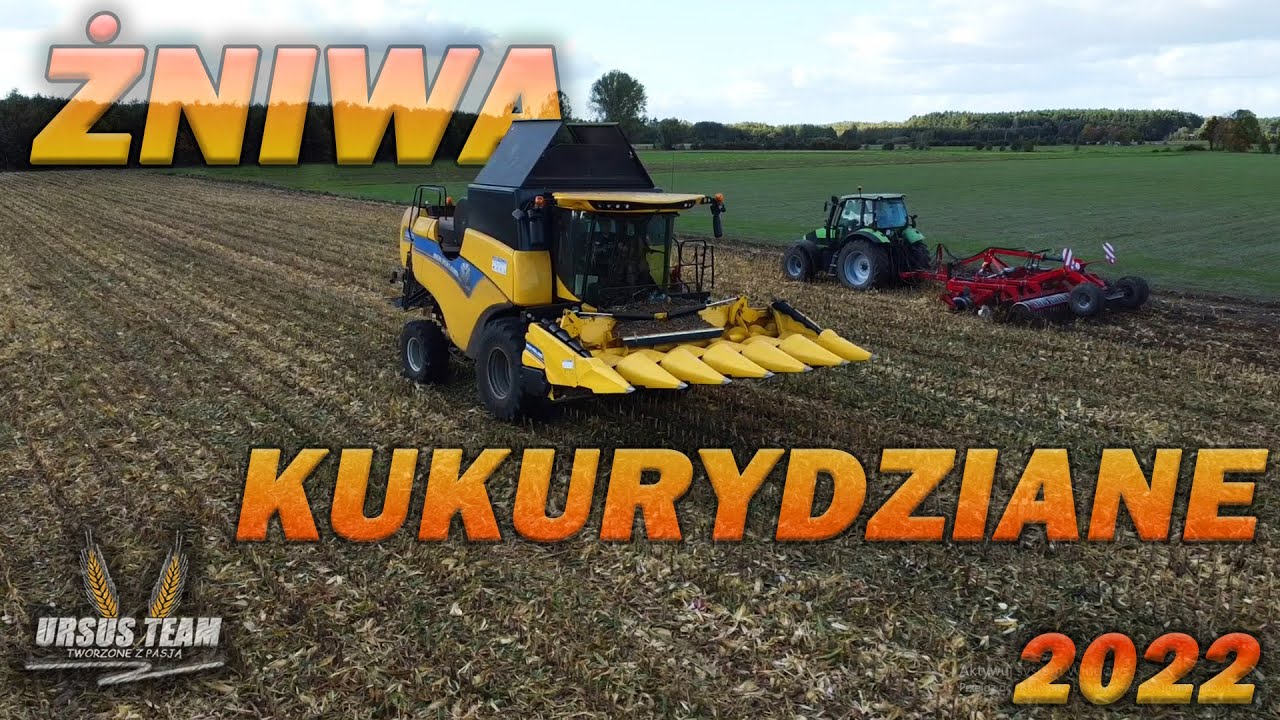🌽Oporowe dłucie na kogucie 🚨🚨 ☆ Kukurydza na ziarno ☆ Talerzowanie 2022  ☆Ur. Sobiński ☆ Ur.Will🌽