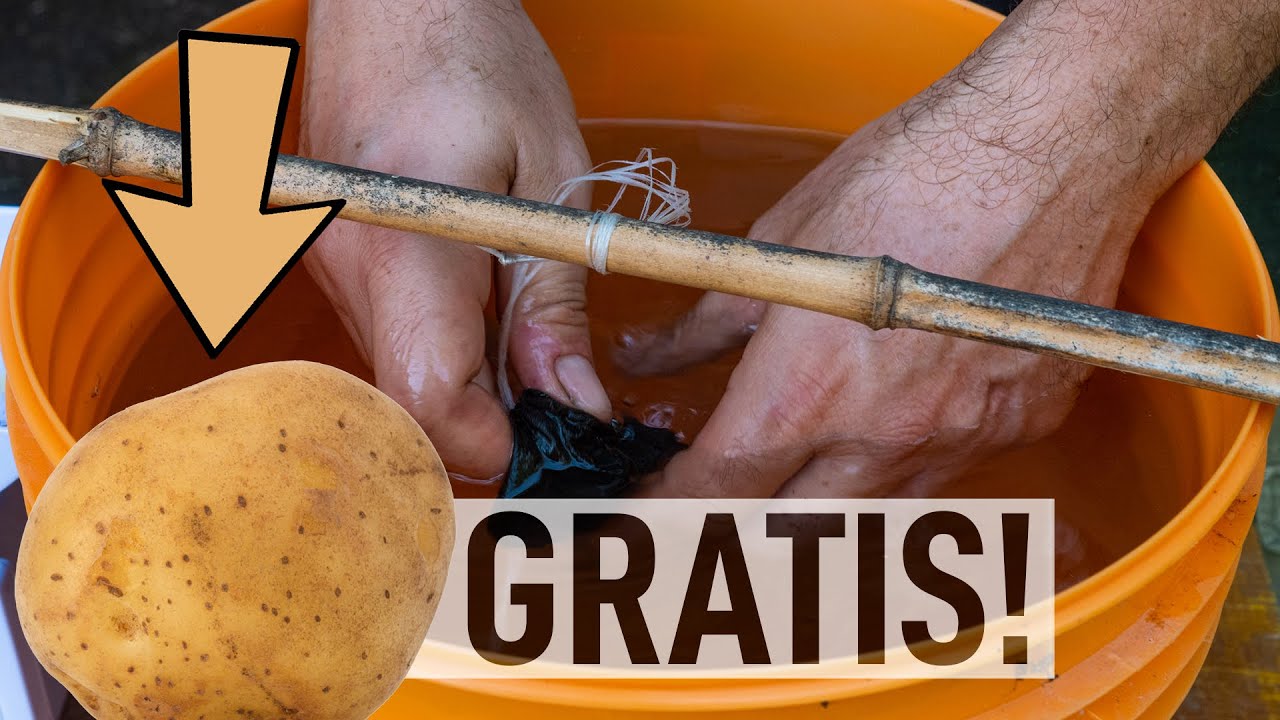Fertilizzante FAI DA TE. Basta una PATATA! 🥔 (Ricetta 2)