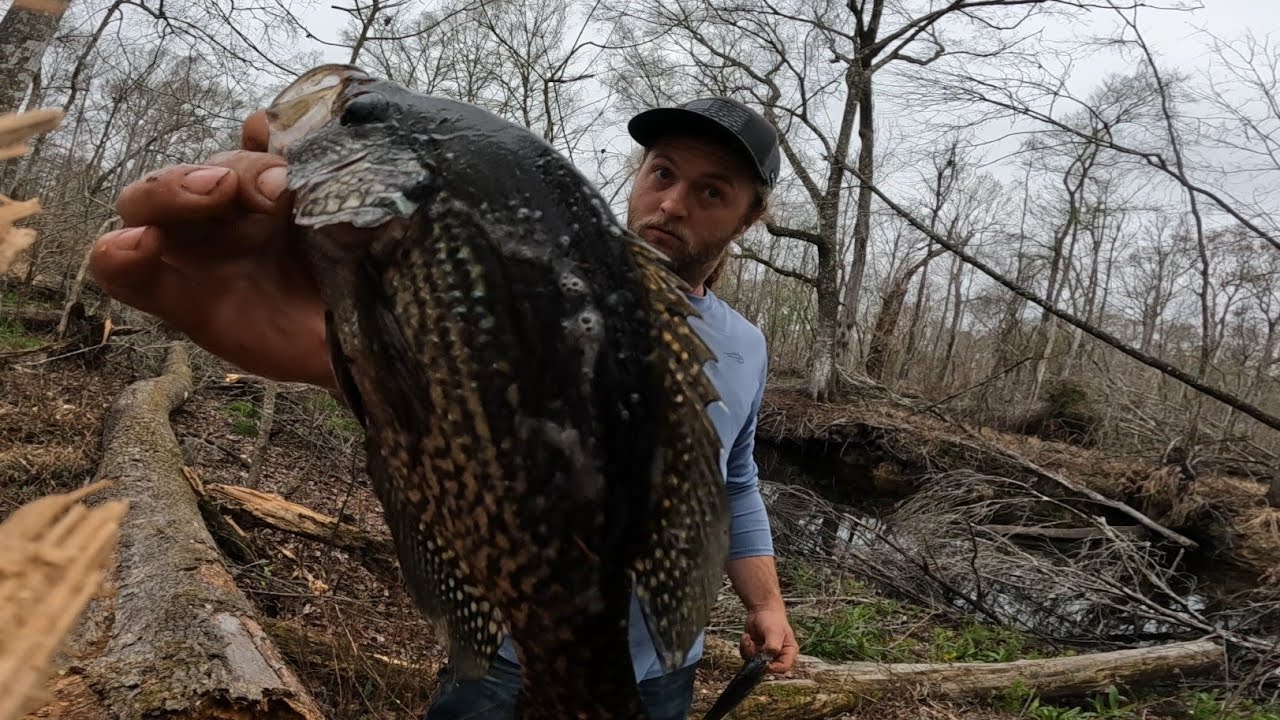 Здесь в изобилии водятся краппи, краснобрюхие окуни, камбалы и морские улитки!