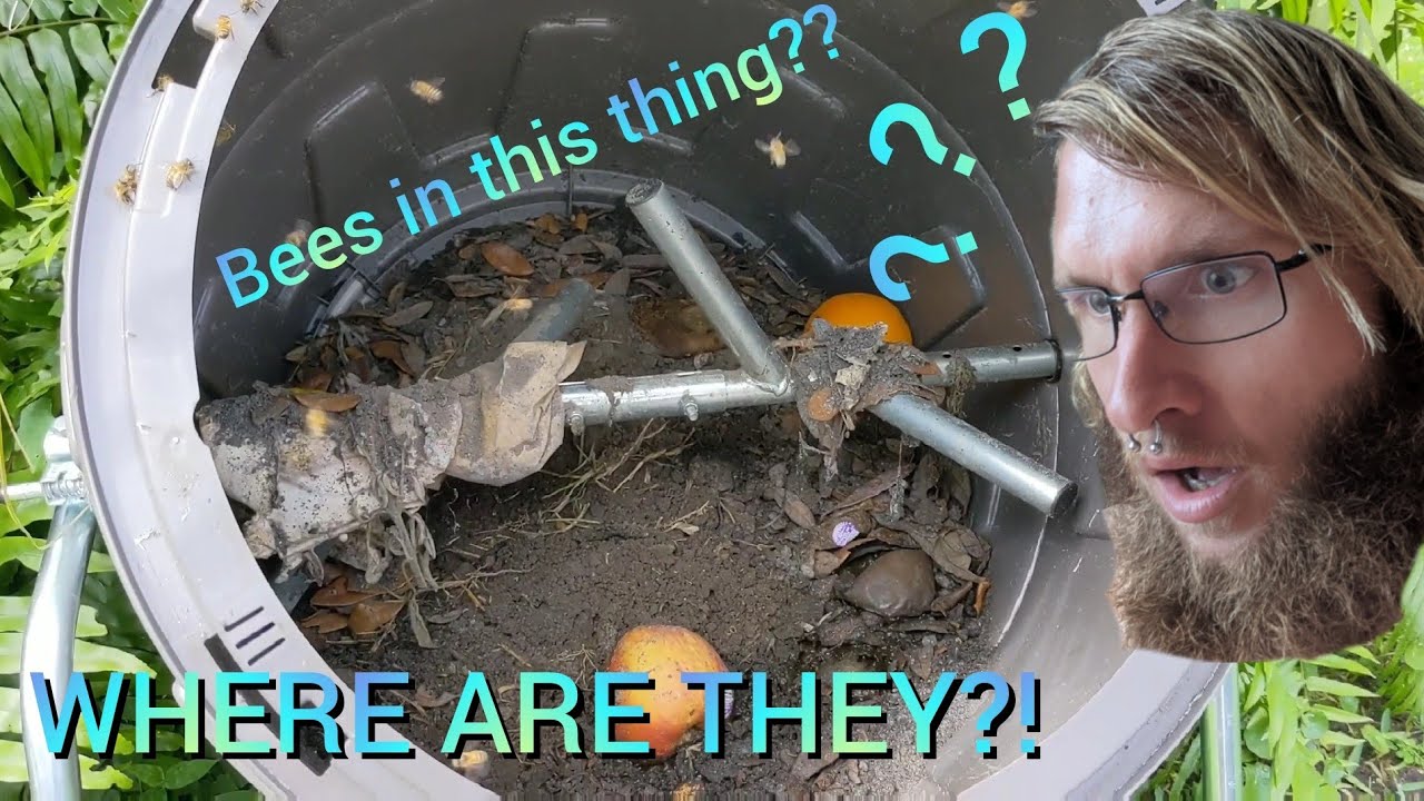 Catching A Swarm Before It Moves In
