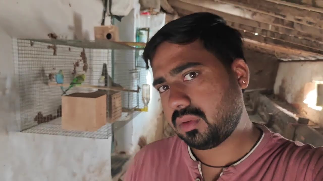 Day 2 Daily vlogs Kannada #RGG VLOGS #Agriculture 