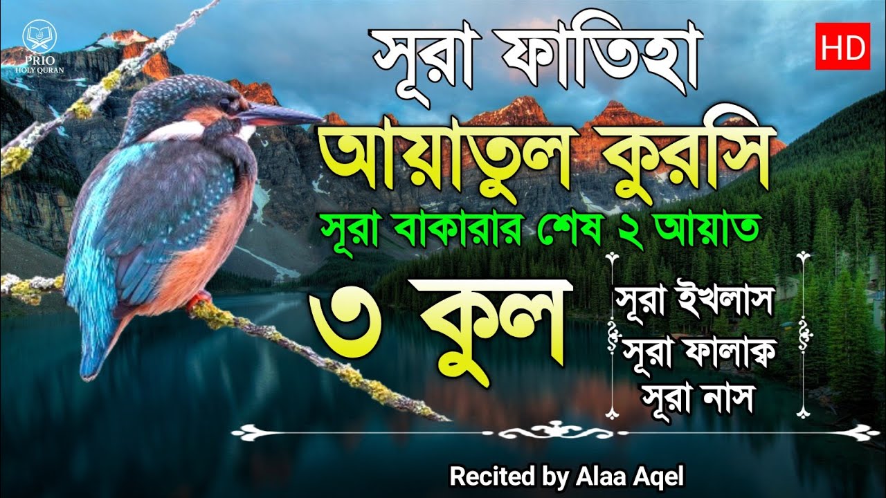 সূরা ফাতিহা আয়াতুল কুরসি ৩কুল | Surah Fatiha Ayatul kursi 3qul | quran recitation | Alaa Aqel |