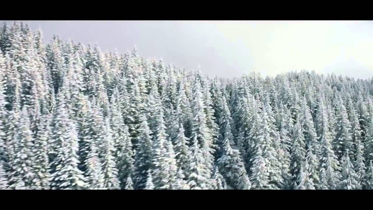 【ARRI】ARRI JOURNEY, captured with ALEXA Mini形象影片