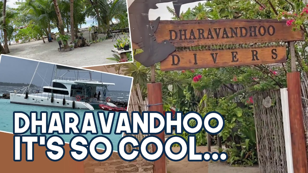 Dive Trip I Baa Atoll Maldives I Day 1 I Arrive Dharavandhoo