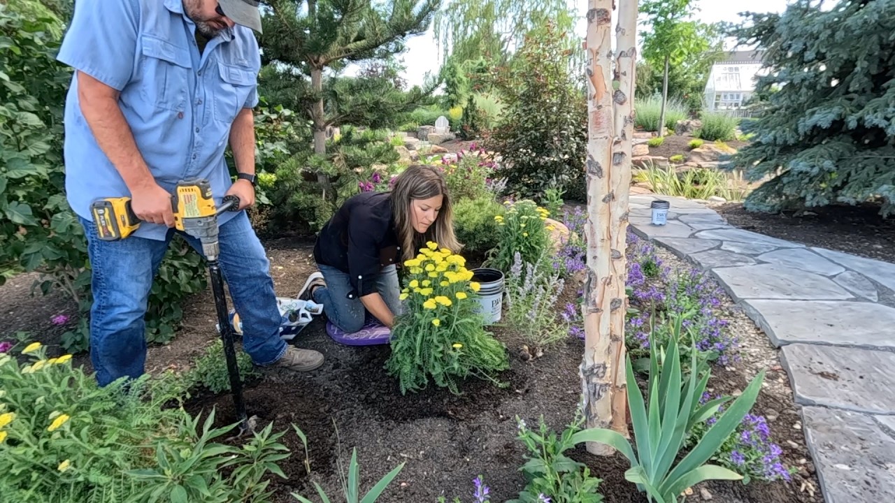 Planting 3 Powerhouse Plants for Full Sun & Weeding the Persephone Garden! 🌼💪🌿