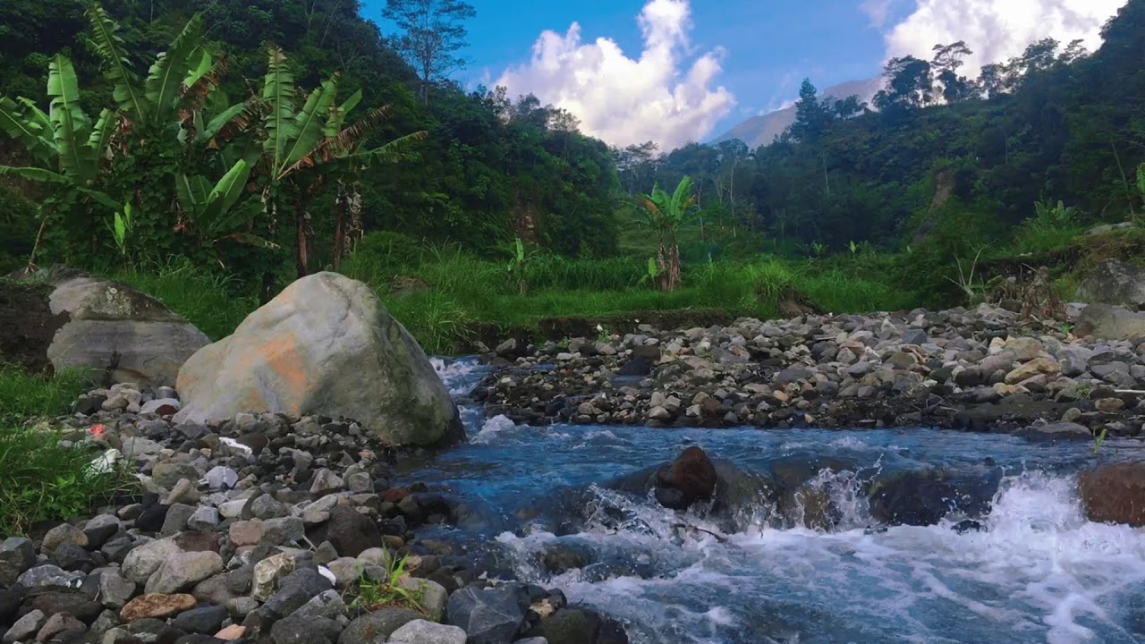 Tranquil River Stream – 10 Hours of ASMR for Focus, Relaxation & Peace