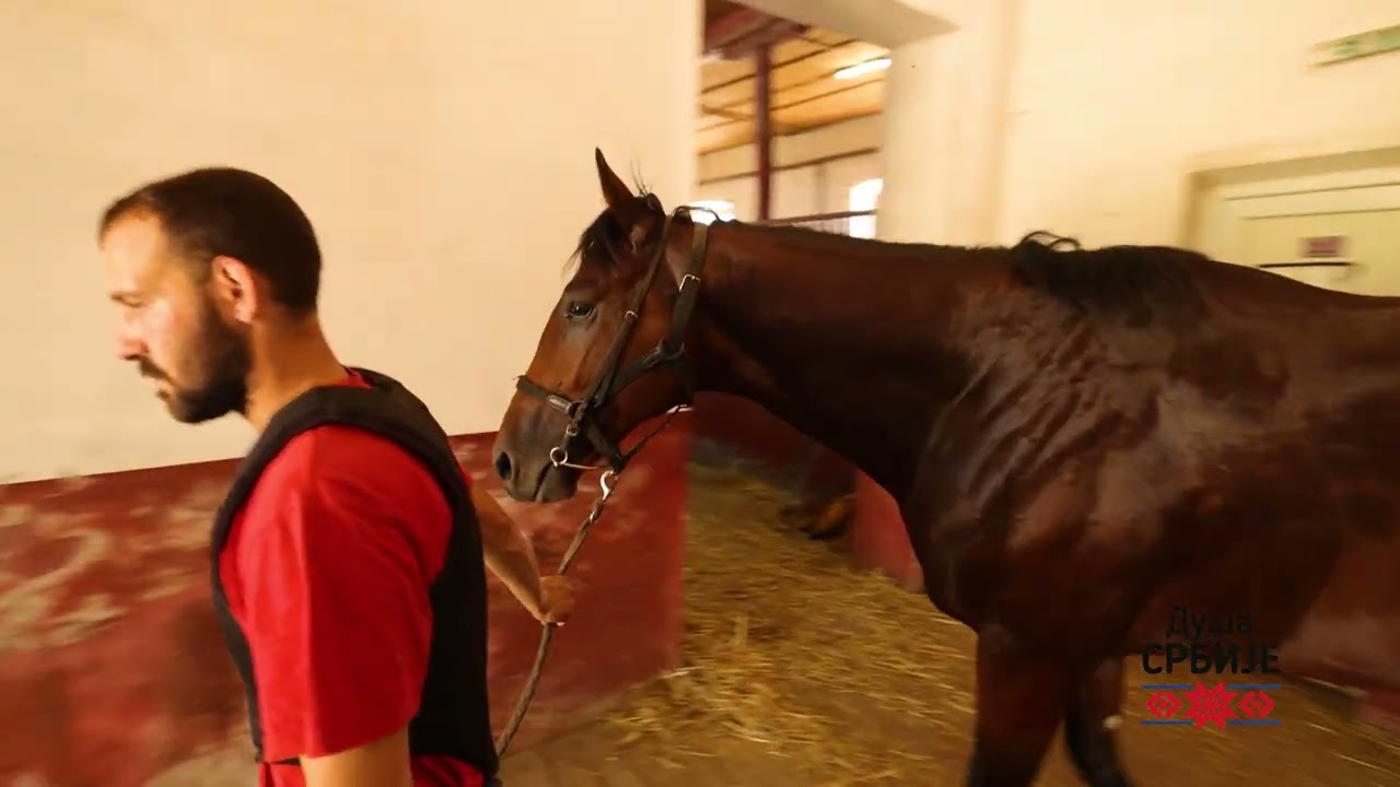 DUŠA SRBIJE VIMINACIJUM