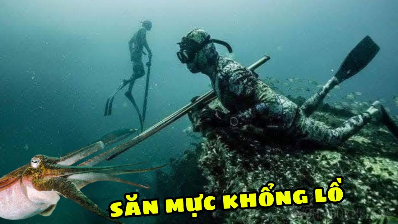 48H SỐNG NHƯ D&Acirc;N ĐẢO