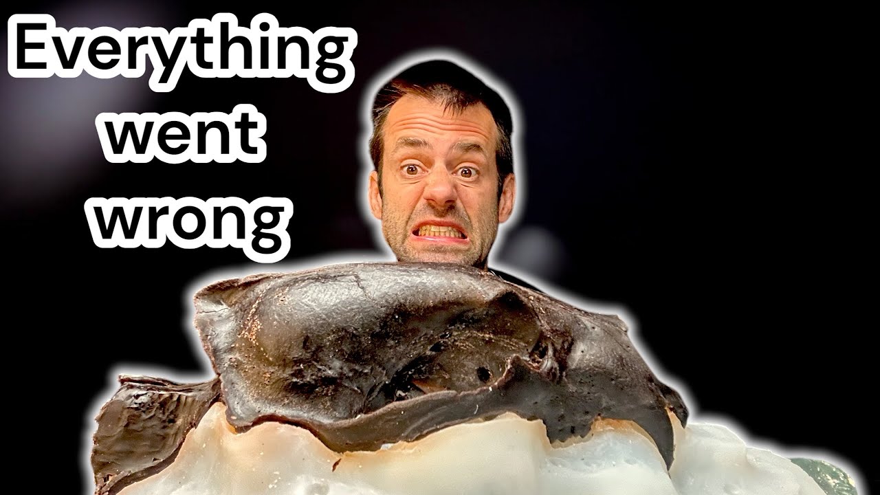 Lost Wax Casting: Molding a Bear Skull 