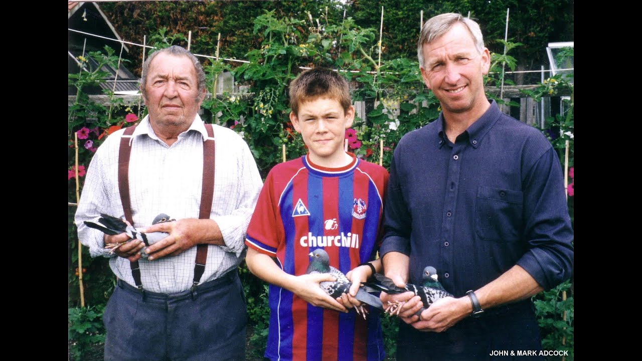 Video 56: John & Mark Adcock of Croydon: Premier Pigeon Racers