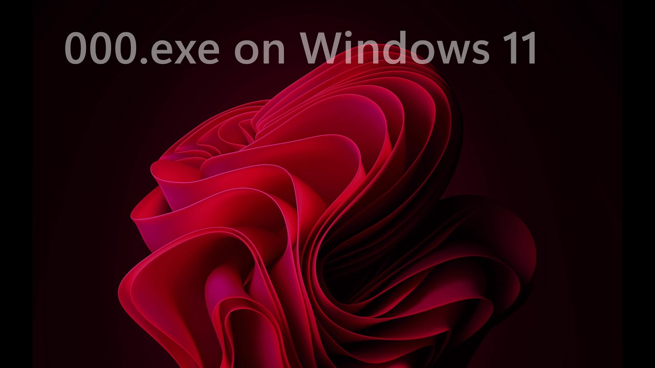 000.exe on Windows 11
