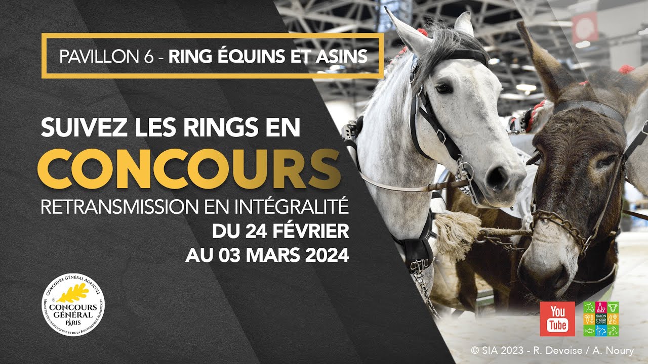 Ring Équins et Asins 01/03/2024