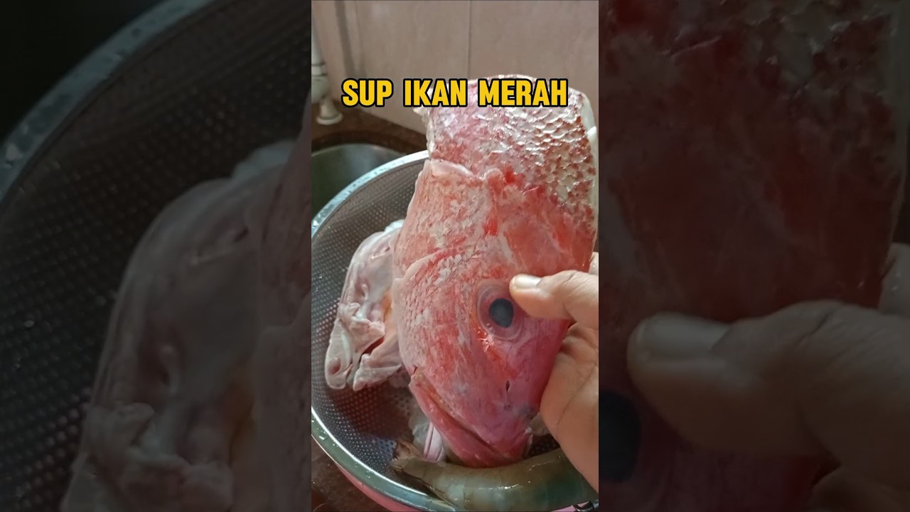 sup ikan merah #resepimudah #ikanmerah #cooking