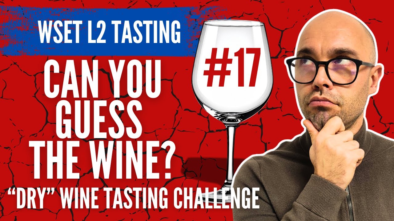 Can You Guess the Wine? | Using the WSET Level 2 SAT I Dry Wine Tasting Challenge #17 #wset