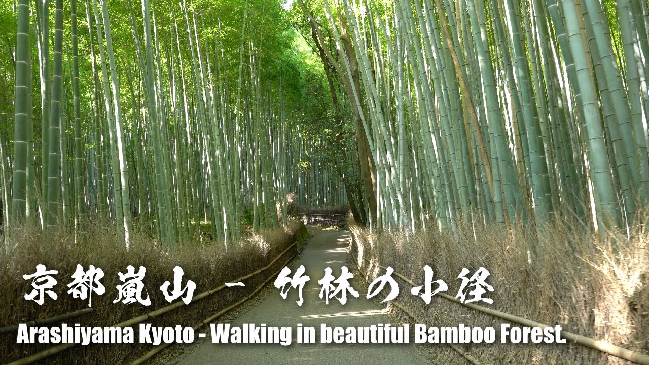 Arashiyama Kyoto -  The most beautiful bamboo forest in Japan | 4K