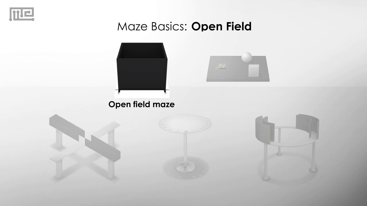 Open Field Test: A Measure of Anxiety