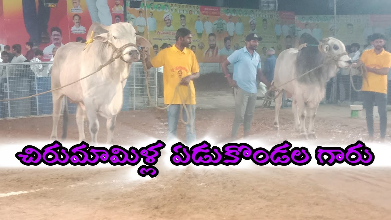 చిలకలూరిపేట. న్యూ కేటగిరి 5వ చిరుమామిళ్ల ఏడుకొండల గారు  కుందుర్తి