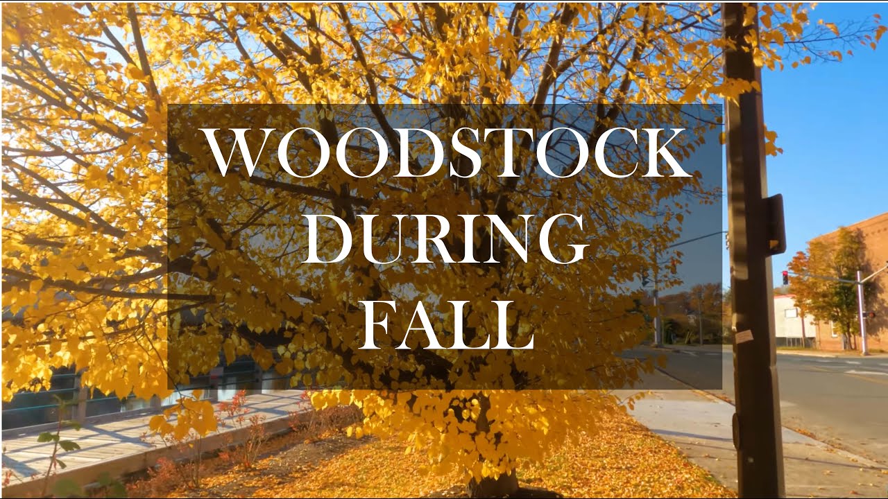 Walking on Woodstock Trail During Fall! New Brunswick