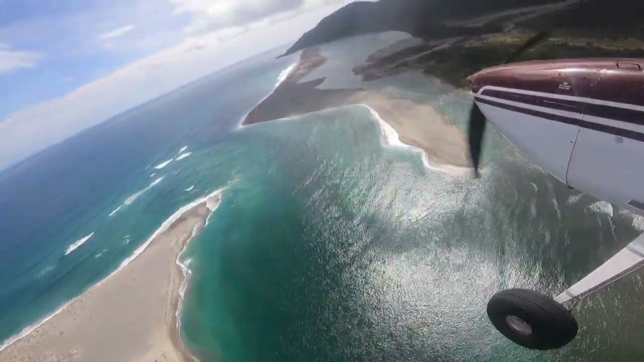 Haast 180/185 Fly In 2022