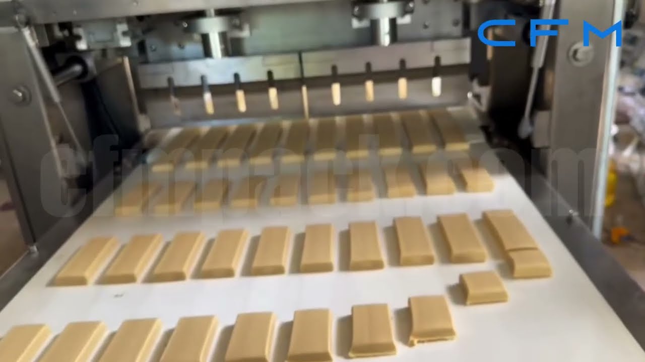 PB Series Protein Bar Production Line FAT Testing