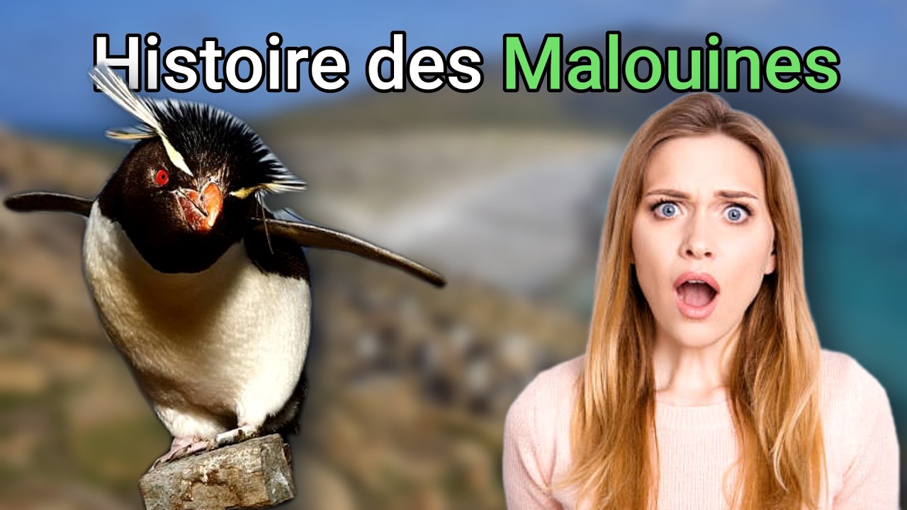 Le referendum de la DISCORDE : Les iles malouines !