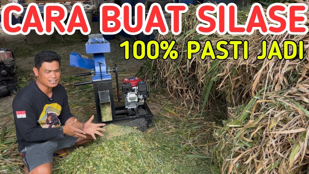 MUDAH DAN RINGAN BUAT SILASE 100% JADI DENGAN MESIN CACAH RUMPUT PENEPUNG SERBAGUNA