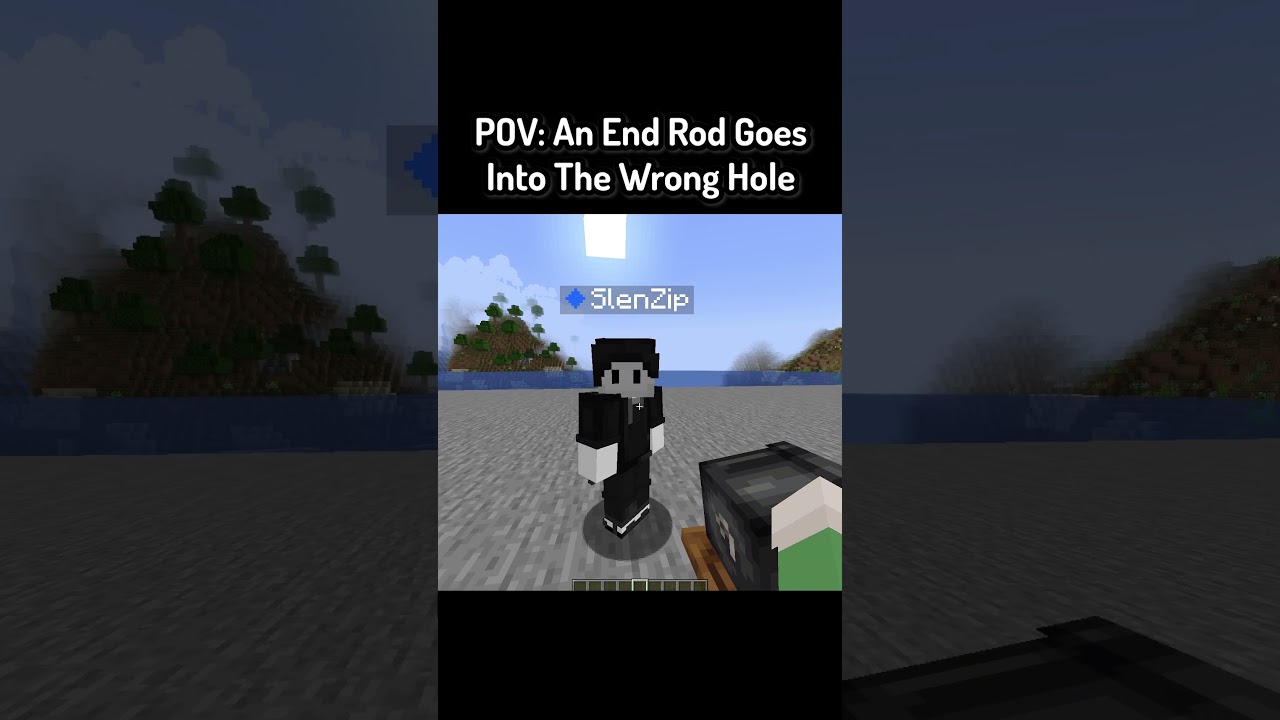 POV: An End Rod Goes Into The Wrong Hole In Minecraft
