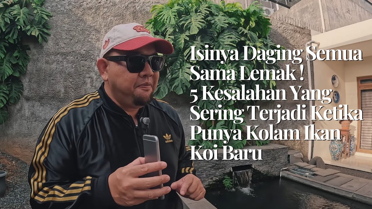 Isinya Daging Semua Sama Lemak ! 5 Kesalahan Yang Sering Terjadi Ketika Punya Kolam Ikan Koi Baru