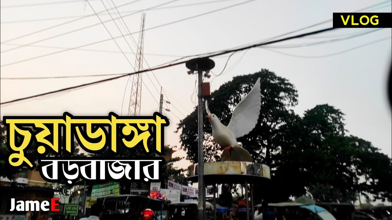 CHUADANGA BORO BAZAR & PANTA TEA STALL | চুয়াডাঙ্গা বড় বাজার & পান্তা'র চায়ের দোকান | JameE VLOG ⚡🇧🇩