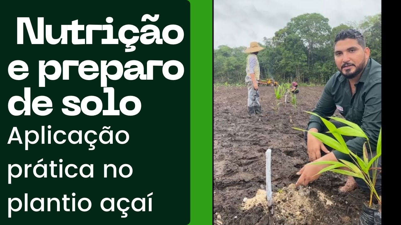 Plantio, preparo de solo e manejo nutricional na prática!